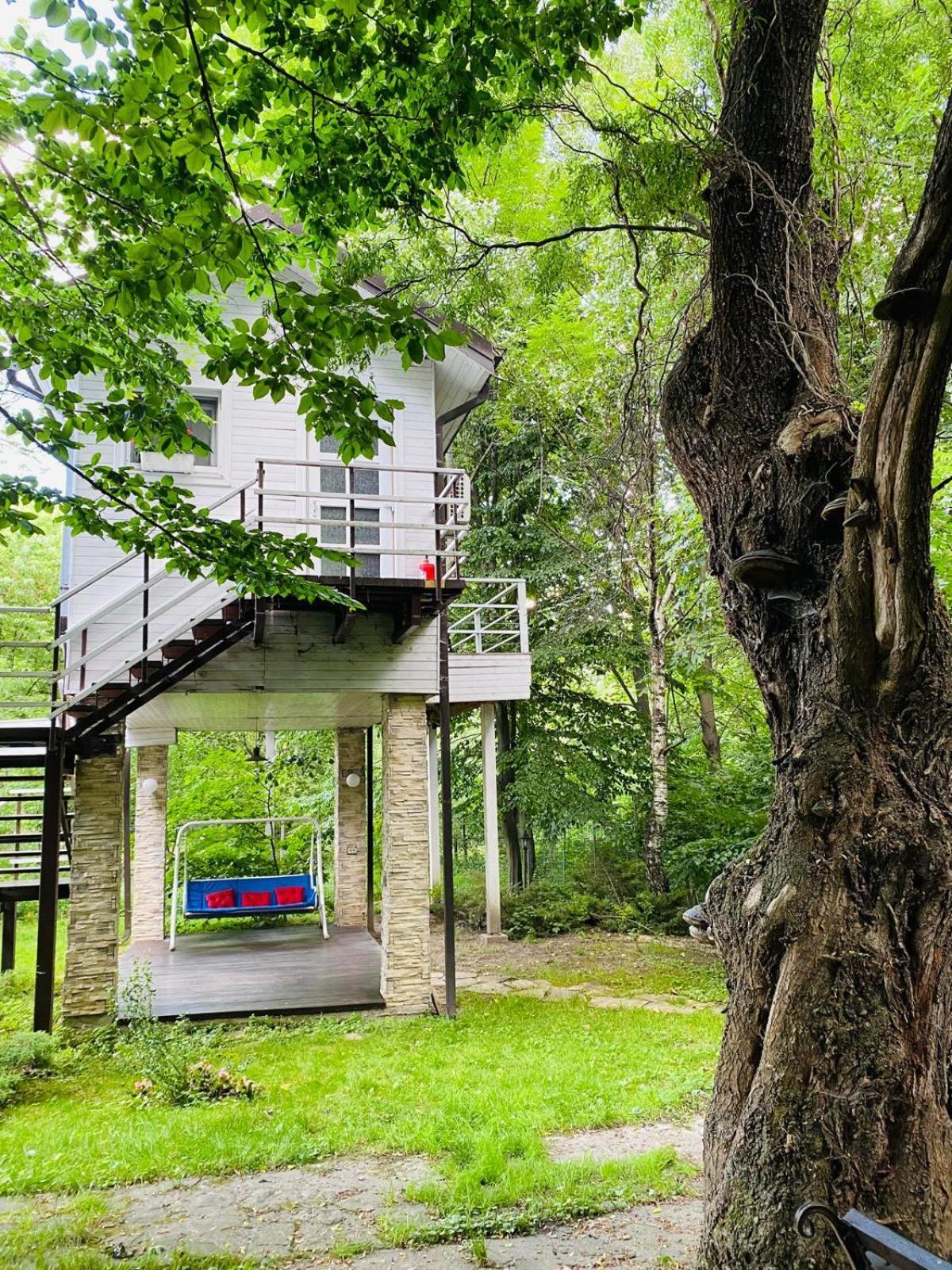 Rapsodia Pension Suceava Exterior photo