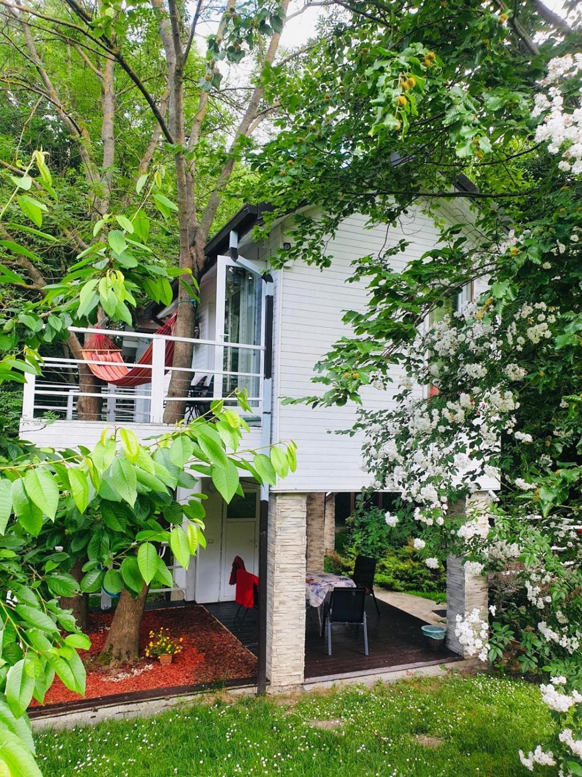 Rapsodia Pension Suceava Exterior photo