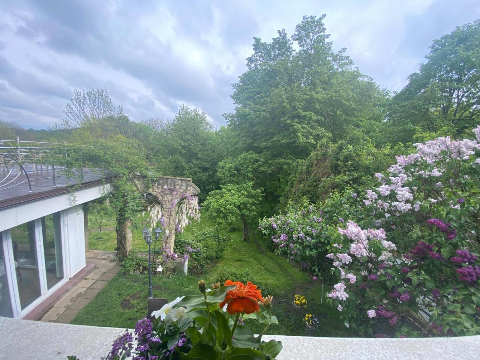 Rapsodia Pension Suceava Exterior photo