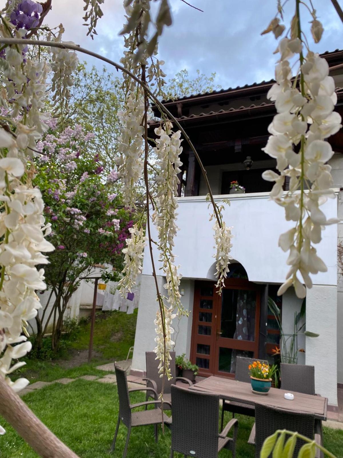 Rapsodia Pension Suceava Exterior photo