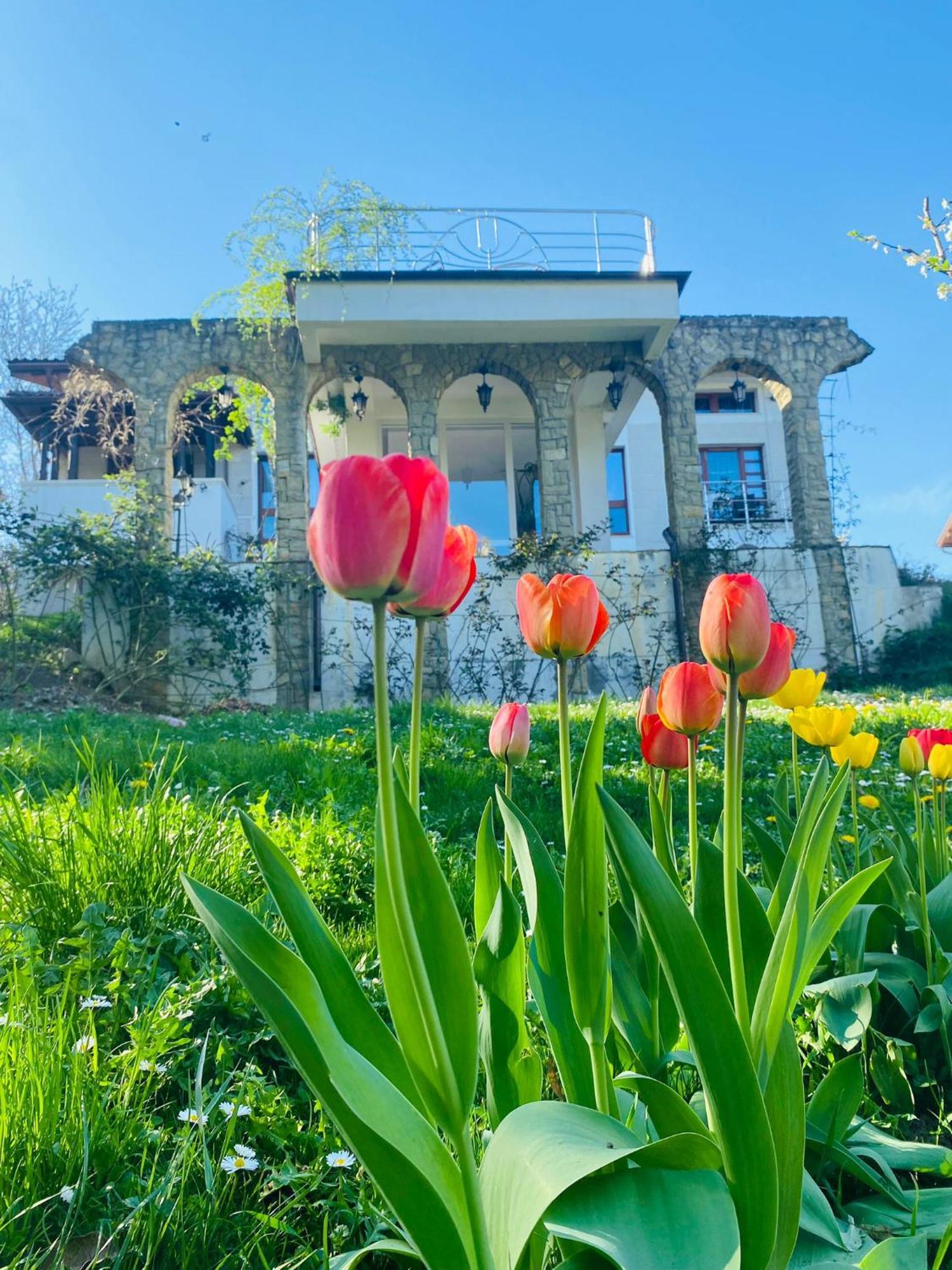 Rapsodia Pension Suceava Exterior photo