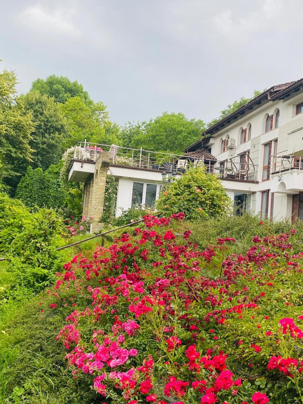 Rapsodia Pension Suceava Exterior photo